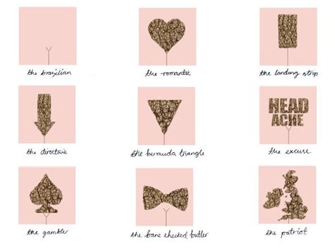 Which style is best for a healthy vagina? A bush in the hand is worth…wait..what? - inkylady79's Blog