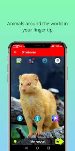 150 Animal Sounds : Ringtones, Wallpapers - Apps on Google ...