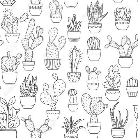 Cereus is a genus of cacti (family cactaceae) including around 33 species of large columnar cacti from south america. Image result for succulent line drawing | Succulents ...