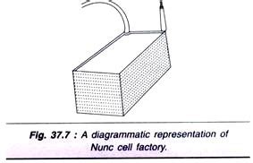 It is also used in drug screening and development, and large scale manufacturing of biological compounds (e.g., vaccines, therapeutic proteins). Animal Cell Culture: Scale-Up Process