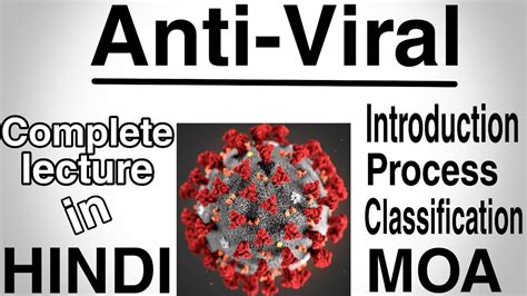 It can be eaten raw, mashed or can be added to soups. Anti viral drugs | classes | medicinal chemistry 3rd year ...