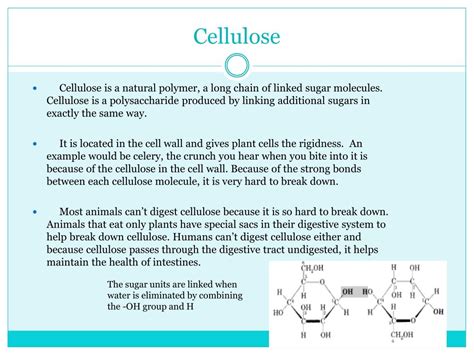 (found in plant cells not animal cells) the cell wall is made of a tough, yet flexible, material called cellulose. PPT - Plant vs. Animal Cells PowerPoint Presentation, free ...