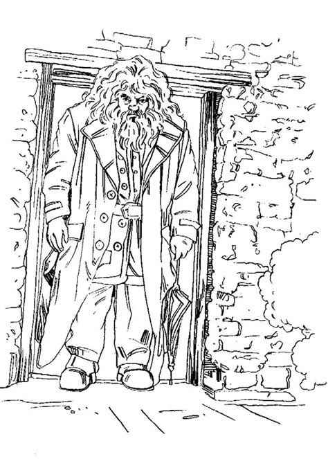120 disegni di harry potter da colorare disegni di harry potter creazioni harry potter arredamento stile harry potter. 120 Disegni di Harry Potter da Colorare | PianetaBambini.it