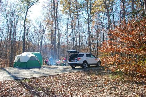 Any extra vehicles must park in a parking lot for an additional fee. Camping at Lake Anna State Park is just the start to what ...