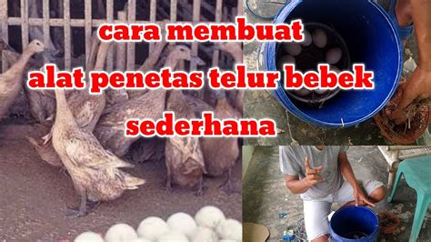 Tergantung tujuan dalam membuatnya kamu bisa mengikuti cara membuat anak panah sederhana yang paling mudah menurutmu. Cara Membuat alat penetas telor bebek sederhana - YouTube