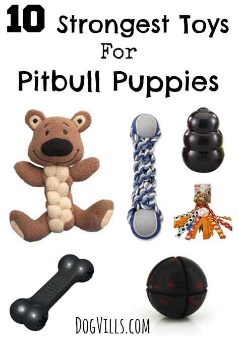 Through gnawing on toys, puppies learn to manage their chewing instincts, explore the world around them, and alleviate the pain from teething. 10 Strongest Toys For Pitbull Puppies - DogVills