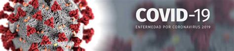 Para niños de primaria y secundaria. Enfermedad por coronavirus 2019 (COVID-19)