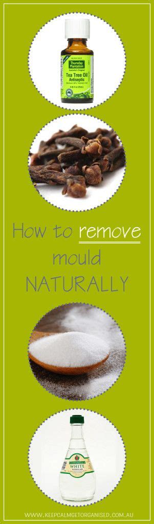 To prevent bleeding, you'll need sepsis bandages, a fairly uncommon item. How to get rid of mould naturally, NO nasties! | Mold ...