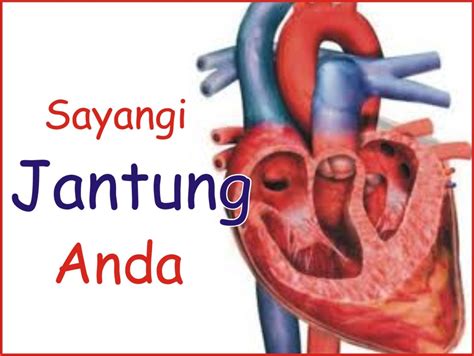 Cara paling berkesan untuk mencegah jantung berdegup laju adalah untuk mengekalkan jantung yang sihat dan mengurangkan risiko penyakit jantung. Abdunwijaya: Tanda-tanda, Tips dan Cara Mengatasi Serangan ...