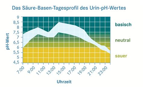 Ist ein diabetes mellitus dafür verantwortlich, dass der körper übersäuert ist, kann der atem des betroffenen außerdem obstähnlich nach azeton riechen. Jetzt testen: Bin ich übersäuert? / Große ...