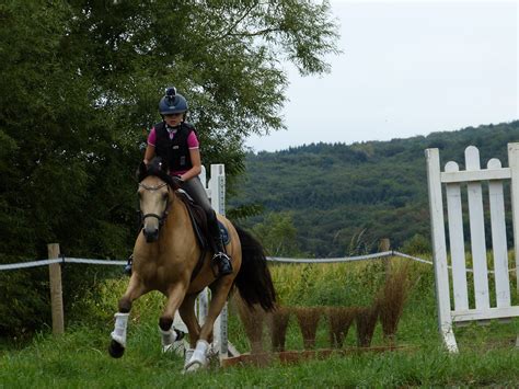 Fahrsportlerin laura oberlin startet durch. Camillas Event 2016 - Zucht-, Reit- und Fahrverein Lienen ...