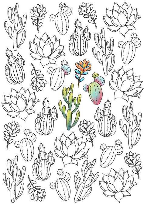 Free printable cactus pdf coloring page. Pin on adult coloring page