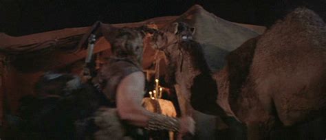 If you have a rat as a when a rat is sick or injured, other rats will look after them until they are better. #07 - Conan The Barbarian (1982) | excessivebodycount