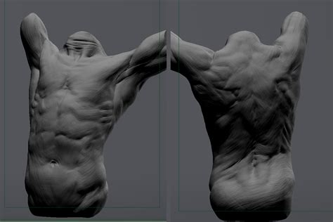 My second attempt on sculpting human torso. Aldo Martínez Calzadilla: Models