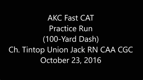 But cat does not require complicated calculations. AKC Fast CAT Practice Run - YouTube