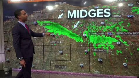 For every 3 damage the swarm takes (every heart and a half), one of the midges will die, but the hitbox will remain the same. Intense swarm of midges seen on Cleveland radar - YouTube