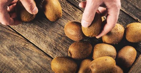 Maybe you would like to learn more about one of these? Growing Kiwi Fruit: Best Varieties, Planting Guide, Care ...