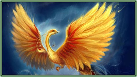 Your phoenix bird stock images are ready. The Phoenix Bird