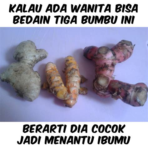 Kumpulan gambar lucu ini bakalan menyebabkan kamu tertawa ngakak. √ Gambar Meme Lucu Terbaru Hari Ini 2020 - Gambar Lucu Terbaru