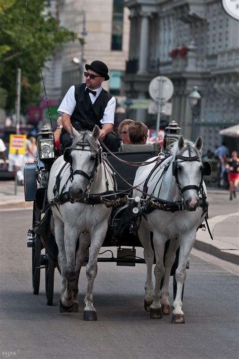 Eine fiaker (pferdekutschen) rundfahrt ist für die ganze familie geeignet. Fiaker in Wien Foto & Bild | world, österreich, europa ...