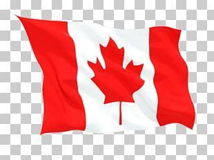 Draw a straight line from top to bottom, just off center. Flag Of Canada Maple Leaf O Canada PNG | Canada maple leaf ...