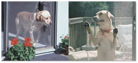 Explore a wide range of the best bug guard on aliexpress to find one that suits you! Sliding Patio Screen Doors - Sacramento CA - A to Z Window ...