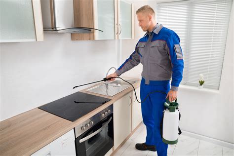 Grapevine Pest Control | Pest Control Service in Grapevine TX