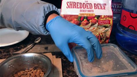 The guts ability to breakdown and metabolize food. WATCH THIS IF YOUR DOG WONT EAT DOG FOOD!! :) - YouTube