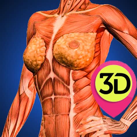 Zygote body is a free online 3d anatomy atlas. Female Anatomy : Woman Body Visualizer Mod Apk Unlimited ...