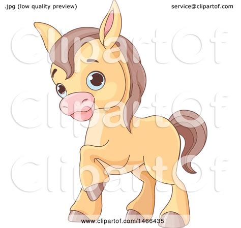 Baby, horse, swing, toy, wooden horse, swinging horse icon. Clipart of a Cute Baby Horse - Royalty Free Vector ...