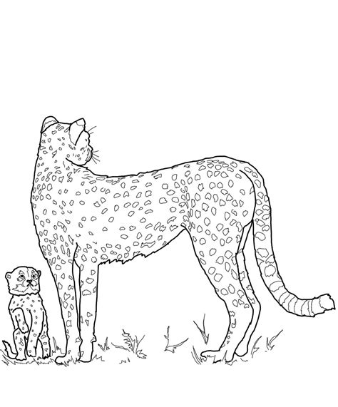 This page is about baby cheetah drawings easy,contains easy cheetah drawing at getdrawings,how to draw a cheetah,mamma easy cheetah drawing at getdrawings. Cheetah Drawing For Kids at PaintingValley.com | Explore collection of Cheetah Drawing For Kids