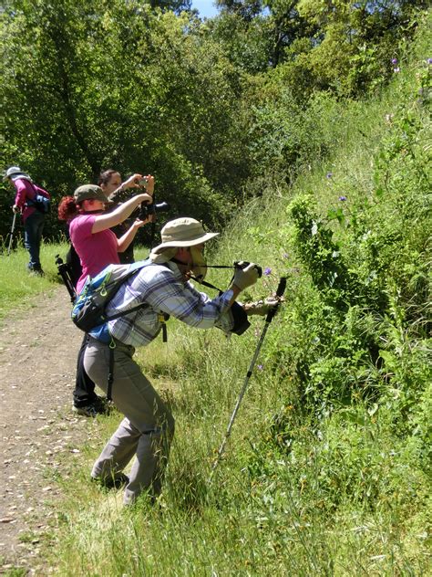 Send flowers to california from canada. Photography Hike at Canada Del Oro - Open Space Authority ...