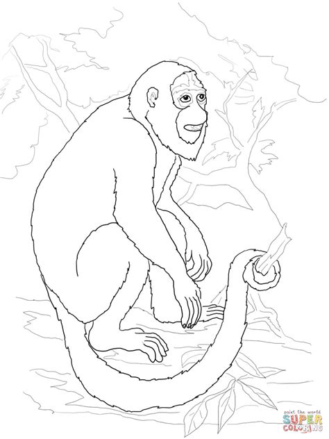 Download Howler Monkey coloring page | Free Printable Coloring Pages