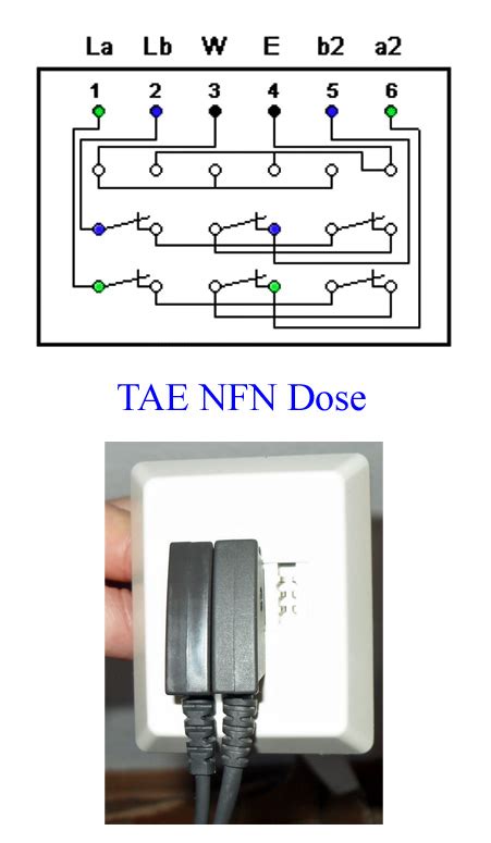 Tae — dose typ nff in unterputzausführung tae dose typ nff in unterputzausführung ohne deckel … deutsch wikipedia. TAE NFN Telefondose durchschleifen Telefonstecker - Forum ...