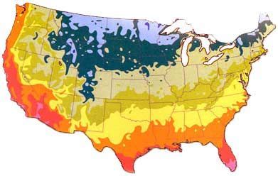 Before you put your tomato plants in the soil, put one cup of kelp meal and one cup of bone meal into each planting hole to give them a turbocharged start. Tomato Growing Zone Maps | Smith gardens, Gardening zones ...