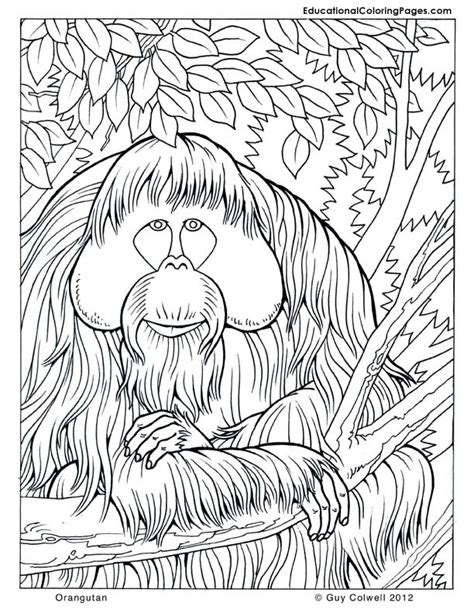 As the trend for grown up coloring pages continue, i will bring more for you over the. Trees Coloring Pages - Educational Fun Kids Coloring Pages ...
