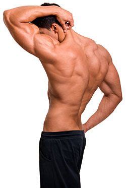 The extensor muscles are attached to back of the spine and enable standing and lifting objects. 9 Tips for Decreasing Muscle Soreness | Anatomy poses ...