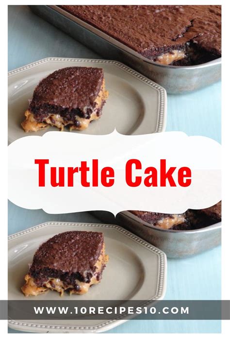 Remove from heat and stir in coconut and pecans. This easy turtle cake made with a German chocolate cake ...