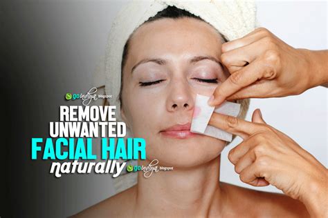 Natural Home remedies to Remove unwanted Facial Hair ...