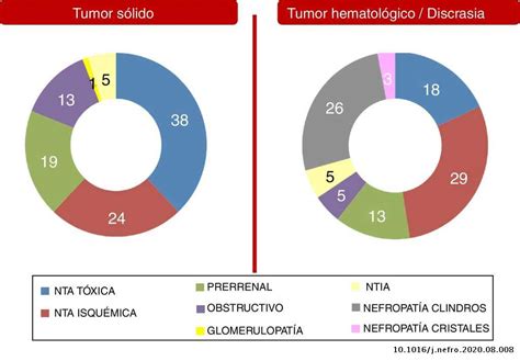 Las comorbilidades pueden incrementarse con la edad, un estudio encontró que los pacientes mayores de 65 años presentaban una prevalencia más alta de hipertensión, hipertrofia ventricular. Consulta monográfica de onconefrología. Justificación y ...