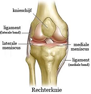 Stress kan hierbij een rol spelen. Knieklachten? Kom langs bij Podotherapie Breda!