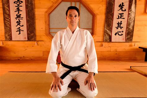―daniel larusso to robby keene. 'Cobra Kai': Ralph Macchio desvela el ridículo título que ...