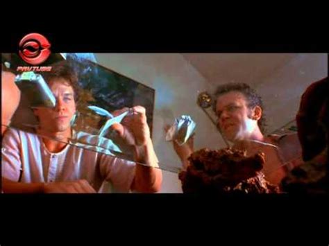 Renee schonfeld, common sense media. Boogie Nights cut cocaine scene - YouTube