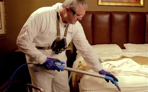 Four of its five employees are state certified pest control operators. Do it Yourself Pest Control vs Hiring Pest Control ...