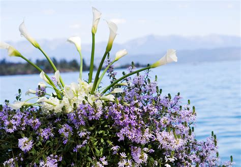 Another reason we call it the flower shop with the best flower delivery in billings, mt is its fast and efficient delivery. Billings Montana Wedding Flowers - Gainan's Flowers