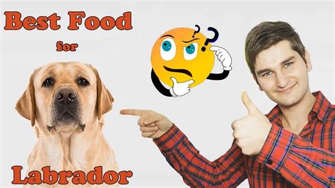 About 1.85 per pound best for: Best Dog Food For 💚Labradors💚 Revealed By Dog Food Judge ...