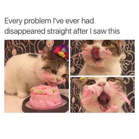 Memes, image macros, general dickheadery. Every problem I've ever had disappeared straight after I ...
