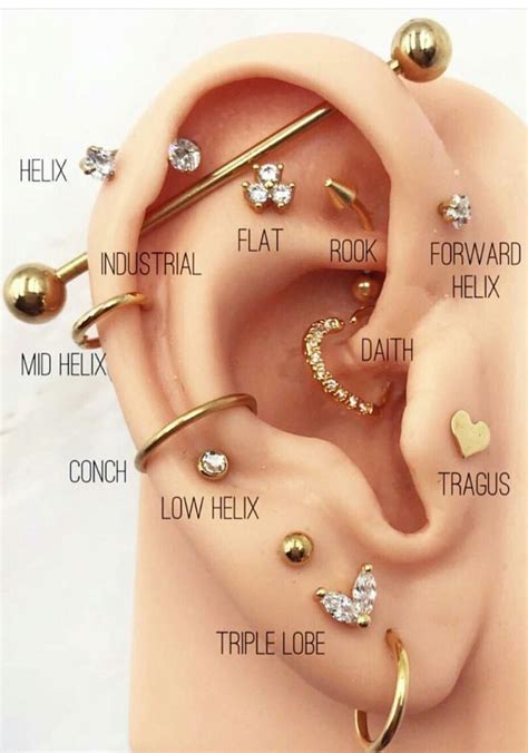 We did not find results for: Pircing, #accessoriesjewelry #Pircing - Pircing, # ...