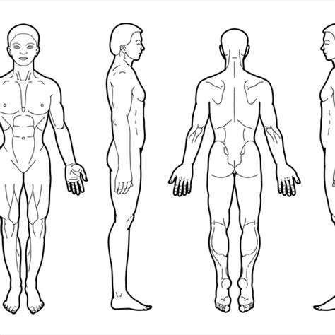 Full length front, back silhouette of a man. Body Diagram for Professional Massage Chart: front, back ...