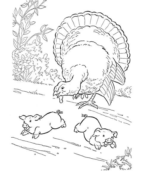 The free and unique pages contain sketches of cows, horses, pigs, sheep, lambs, ponies, goats, hens, etc. Farm animal coloring page | Barnyard Turkey | Farm animal coloring pages, Coloring pages, Turkey ...